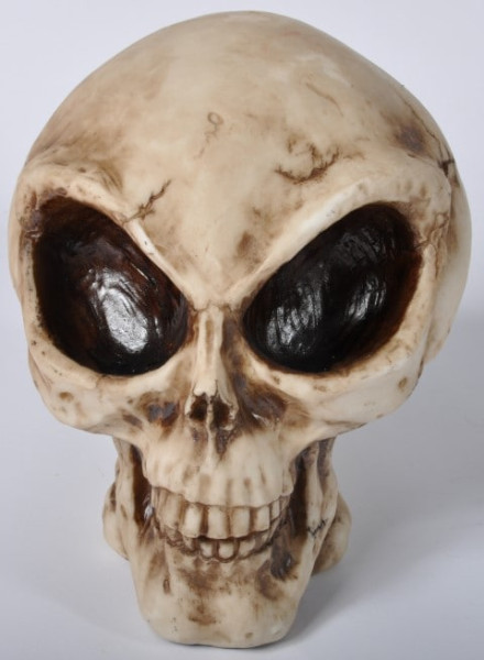 Totenkopf BB ca. 20x18,5x20,5 cm