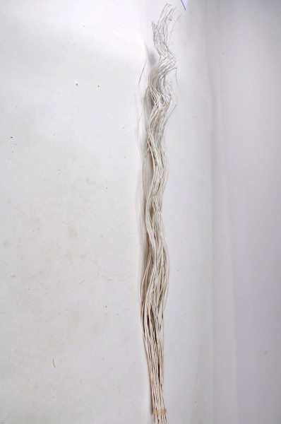 Weiden Curly weiss ca.80cm