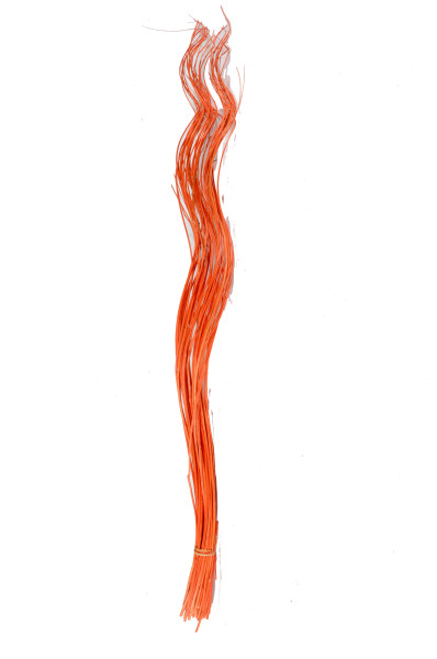 Weiden Curly orange ca.80cm