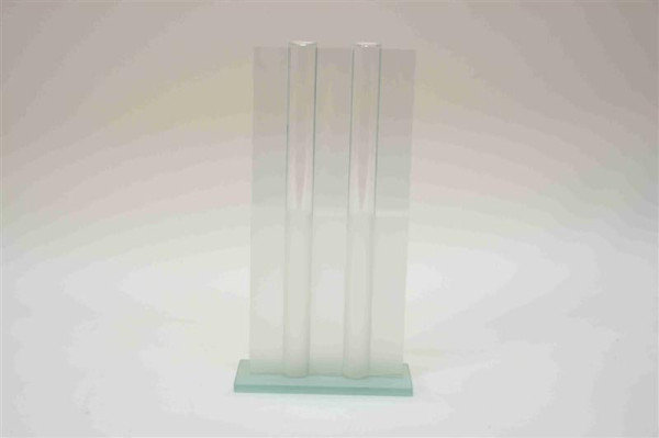 Vase Reagenzglas 2er FB; ca. 16x7x30,8cm