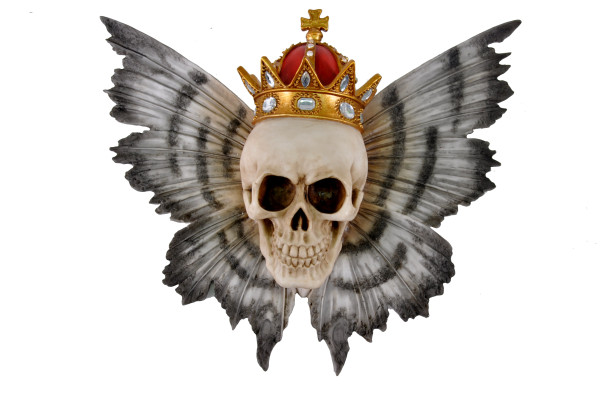 Totenkopf mit Krone zum aufhängen BB ca. 34x32x13cm
